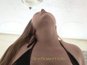 Pinkflowerhole