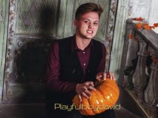 Playfulboydavid