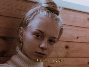 Pollycrosslin