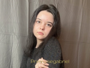 Primrosegabriel