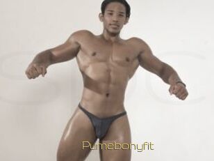 Pumebonyfit