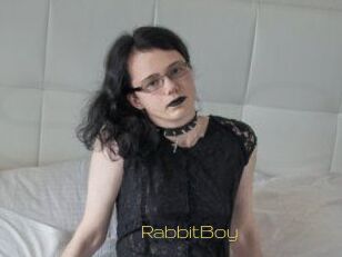 RabbitBoy