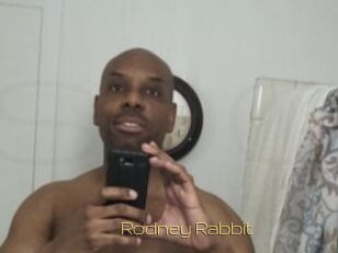 Rodney_Rabbit