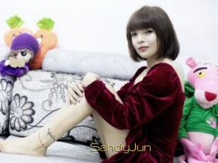 SandyJun