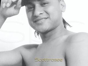 Scottrosee