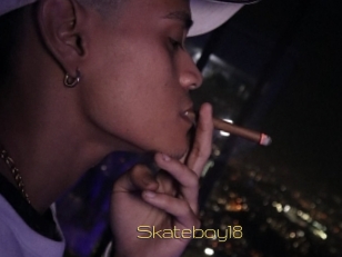 Skateboy18