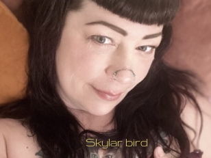 Skylar_bird