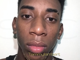 Tammylambert