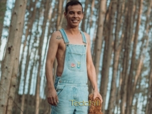Teddhill
