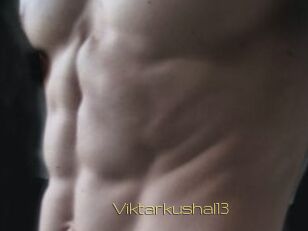 Viktarkushal13