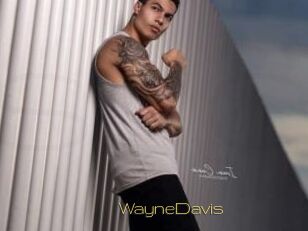WayneDavis