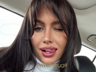 Whitneygill
