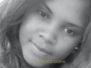 Ynesbrooks