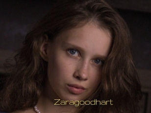 Zaragoodhart