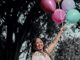 Zattinmartin